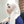 mini profile avatar