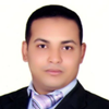 Mohamed R. Eletmany