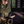 mini profile avatar