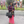 mini profile avatar