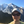 mini profile avatar