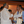 mini profile avatar