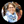 mini profile avatar