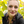 mini profile avatar