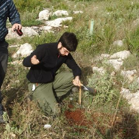 Nicasio T. Jiménez-Morillo