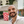 mini profile avatar