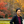 mini profile avatar