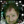 mini profile avatar