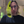 mini profile avatar