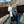 mini profile avatar