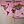 mini profile avatar