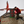 mini profile avatar