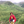 mini profile avatar