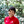 mini profile avatar