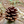 mini profile avatar