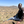 mini profile avatar