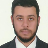Mohammad M. Al-Sanea