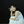 mini profile avatar