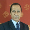 Abdel-Aal M. Abdel-Karim