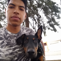 Profile picture