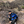 mini profile avatar