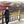 mini profile avatar