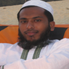 Muhammad Ziaul  Hoque