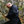 mini profile avatar