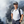mini profile avatar