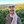 mini profile avatar
