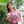 mini profile avatar