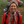 mini profile avatar