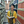 mini profile avatar