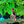 mini profile avatar