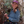 mini profile avatar