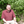mini profile avatar
