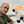 mini profile avatar