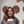 mini profile avatar
