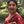 mini profile avatar