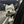 mini profile avatar