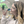 mini profile avatar