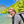 mini profile avatar