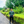 mini profile avatar