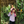 mini profile avatar