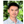 mini profile avatar