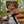 mini profile avatar