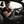 mini profile avatar