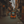 mini profile avatar