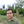 mini profile avatar