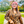 mini profile avatar